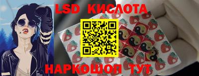 Альфа ПВП Краснознаменск