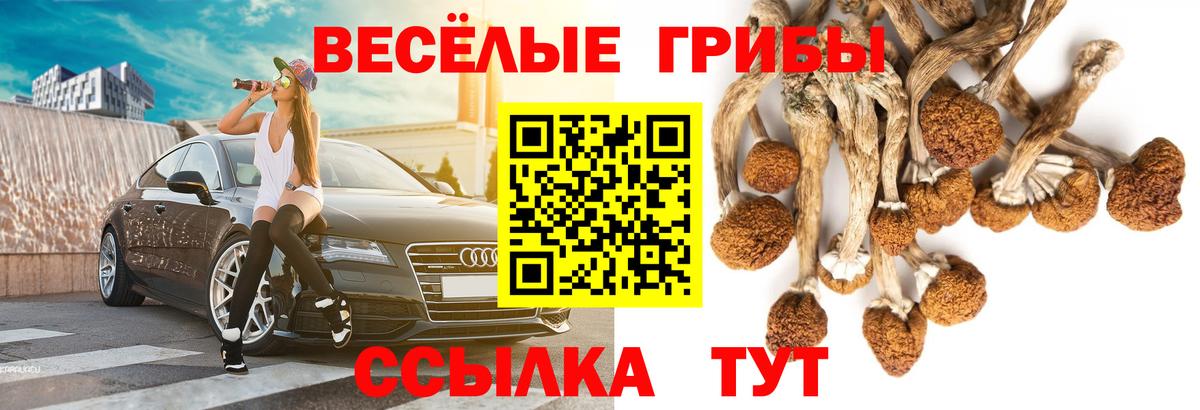 Галлюциногенные грибы прущие грибы  Вход с VPN  Кирово-Чепецк 